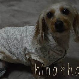 ダウンジャケット