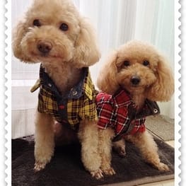 パーカー/トレーナー