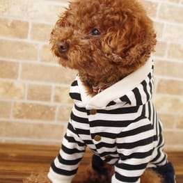 ラガーシャツ・ポロシャツ