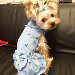 ベーシックタンクトップ&Tシャツ