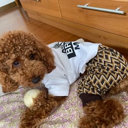 カバーオール(つなぎ)