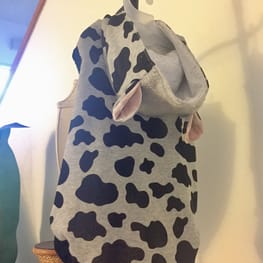 うさぎ/パンダ変身コスチューム