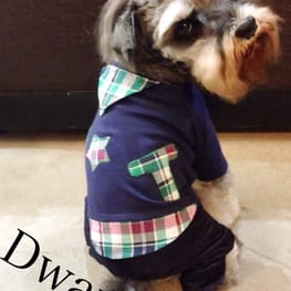 ラグランタンク・ラグランワンピ