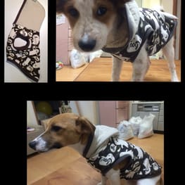 スカート/サロペット