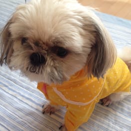 かよママさんの作品