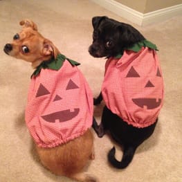 パンプキンコスチューム