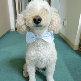 ぶらんさんの作品