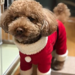 あいこっちさんの作品