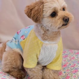 あっちゃんさんの作品