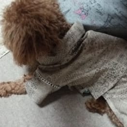 スカート/サロペット