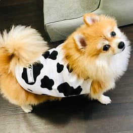 ベーシックタンクトップ&Tシャツ