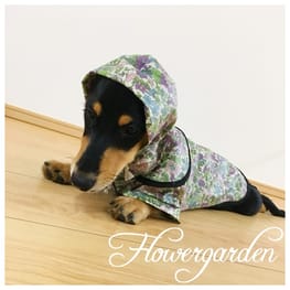 やすやすさんの作品