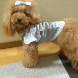 ショールカラーカーディガン