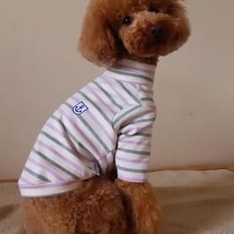 ベーシックタンクトップ&Tシャツ