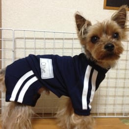 パーカー/トレーナー