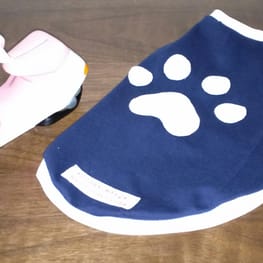 サニタリー・マナーパンツ