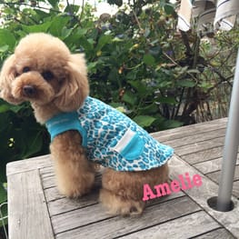 ベーシックタンクトップ&Tシャツ