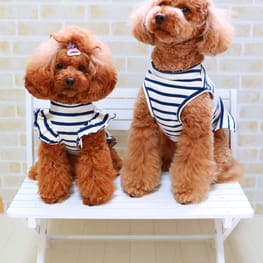 スモック/チュニック