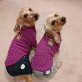 パーカー/トレーナー