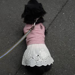 ベーシックタンクトップ&Tシャツ