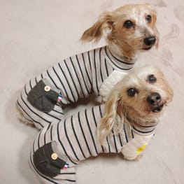 ラグランタンク・ラグランワンピ