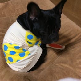 ベーシックラグランTシャツ