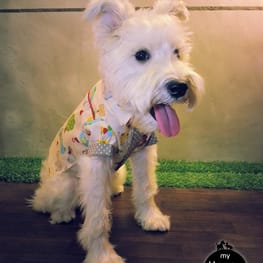 ダウンジャケット