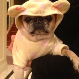 Peasnatchさんの作品