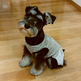 ダウンジャケット