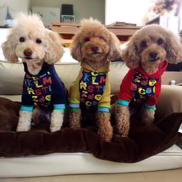 パーカー/トレーナー