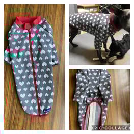 ラガーシャツ・ポロシャツ