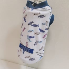 ベーシックラグランTシャツ