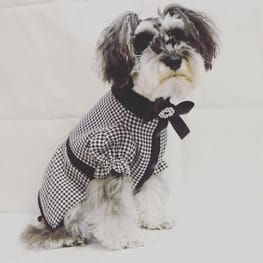 ダウンジャケット