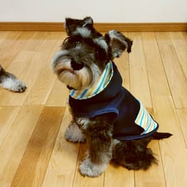 ダウンジャケット