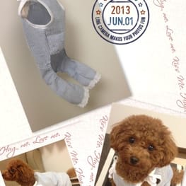 ダウンジャケット