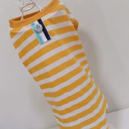 ベーシックラグランTシャツ