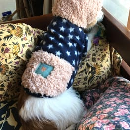 海うさぎさんの作品