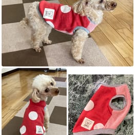 ダウンジャケット