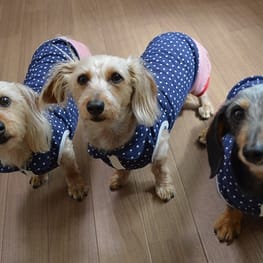 ダウンジャケット