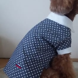 ベーシックタンクトップ&Tシャツ