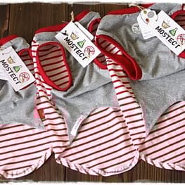 ドッグスリング