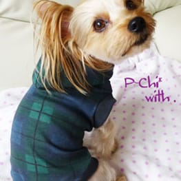 p-chi*withさんの作品