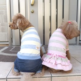 ベーシックタンクトップ&Tシャツ