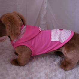 ダウンジャケット