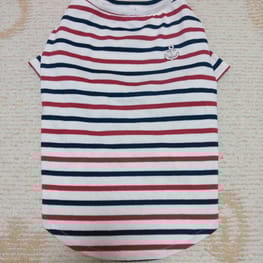 ラッフルスリーブトップス