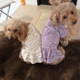 パーカー/トレーナー