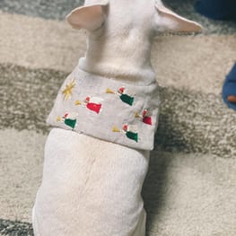 chenmomoさんの作品