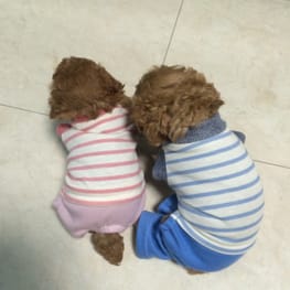 スカート/サロペット