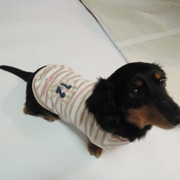 ベーシックタンクトップ&Tシャツ