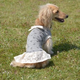 パーカー/トレーナー